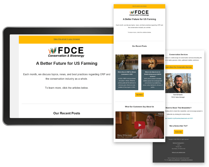 ANS FDCE email newsletter marketing design