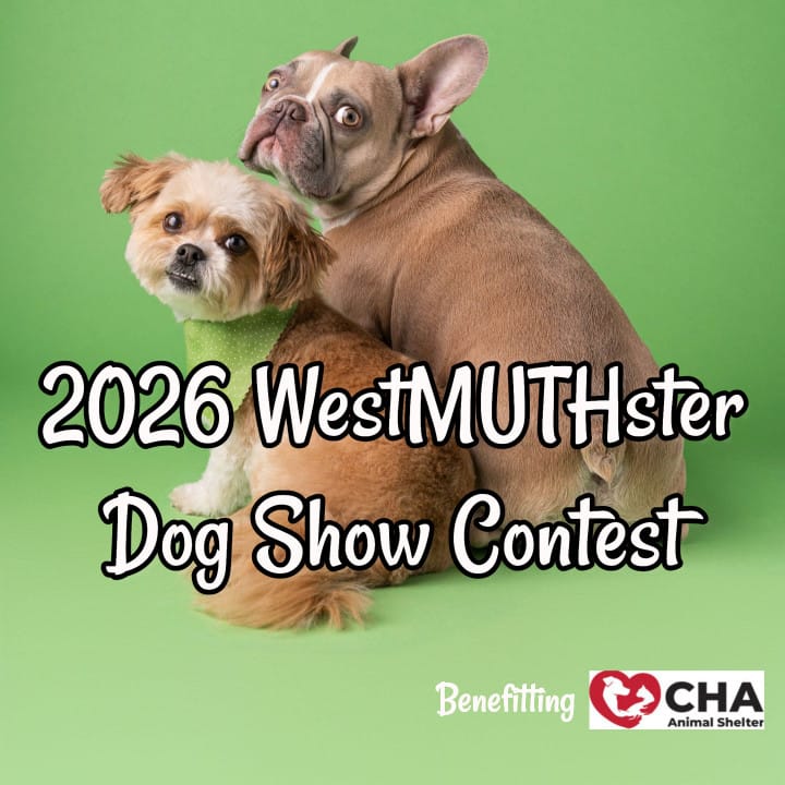 Two dogs looking over their shoulders, encouraging viewers to submit their dog photos for the 2026 WestMUTHster Dog Show Contest.