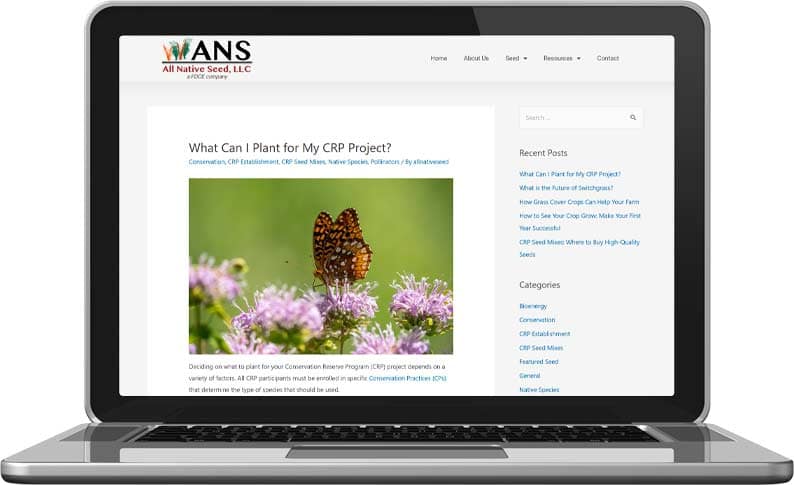ANS Website Content Creation on Laptop