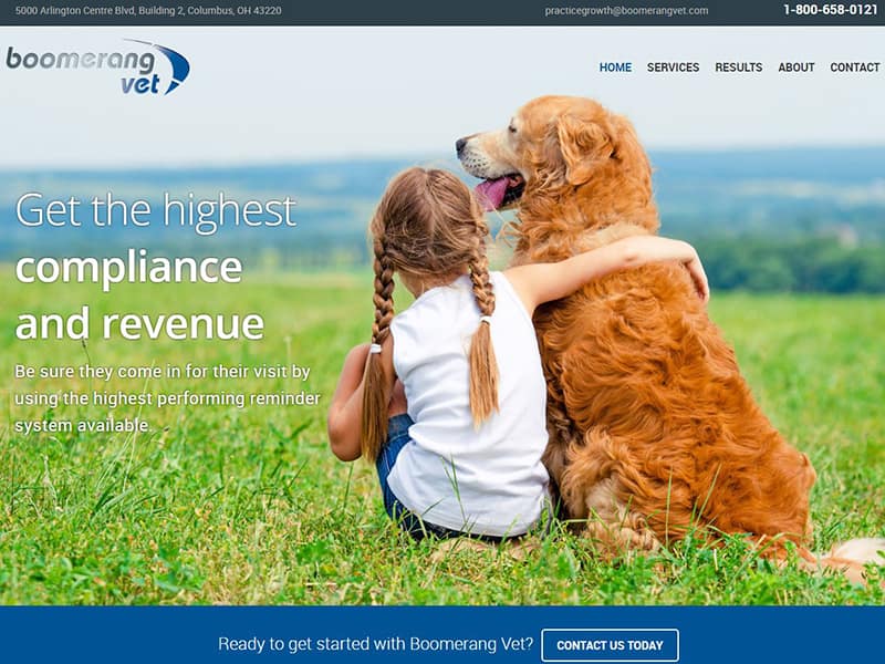 Boomerang Vet - Veterinary Reminder Strategy Website