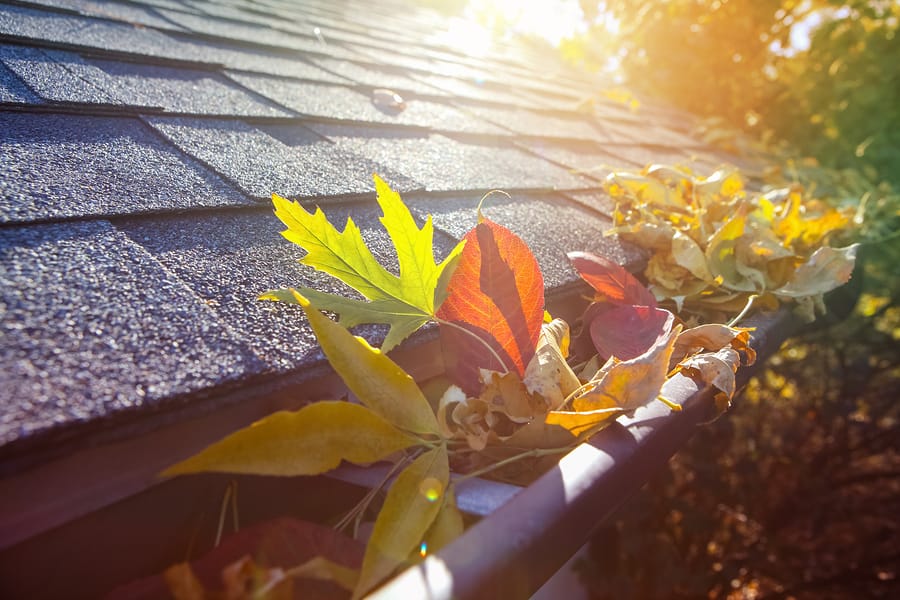 gutter cleaning