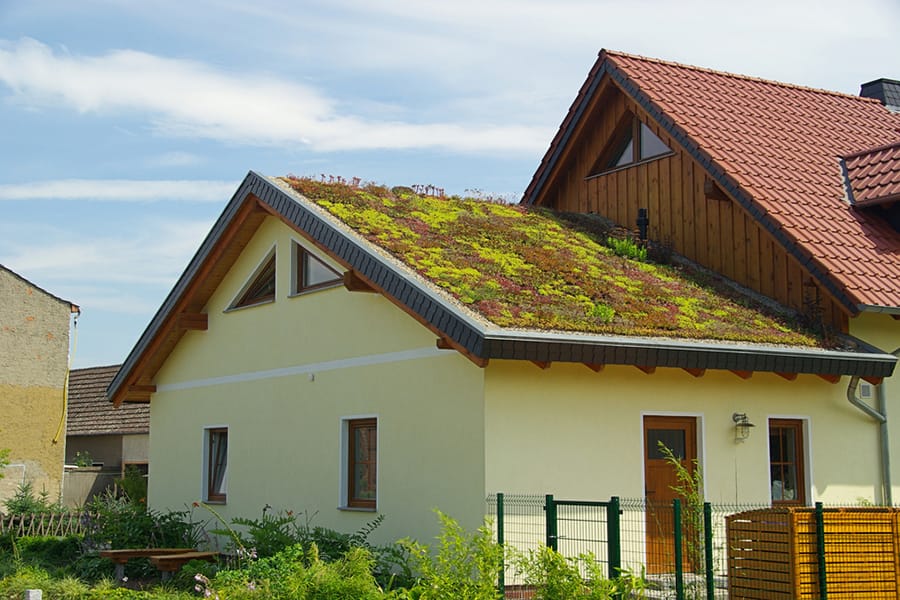 Green Roof