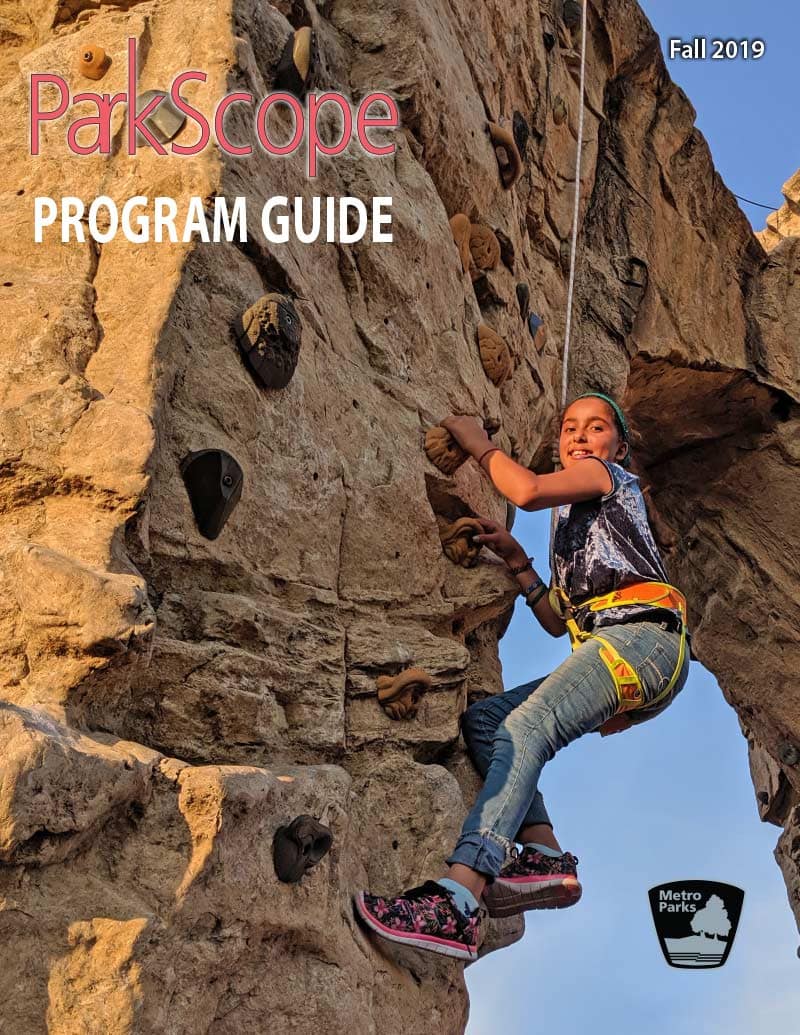 Metro Parks Program Guide Design - Robintek: Columbus Website Design ...