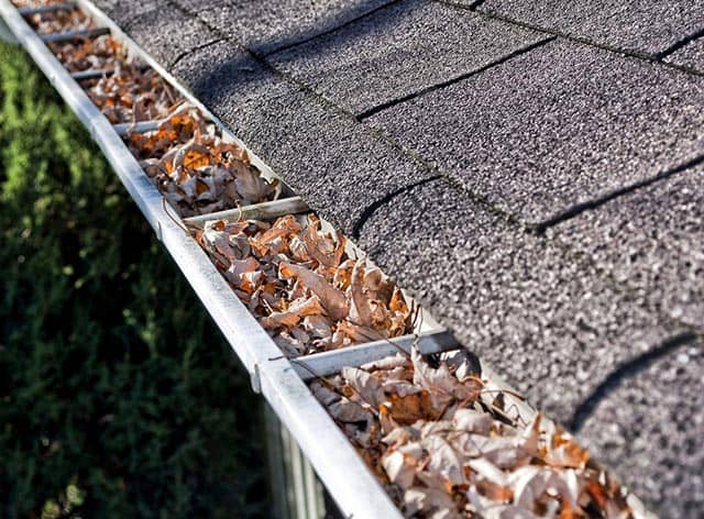 The image shows a gutter filled with leaves and debris. 